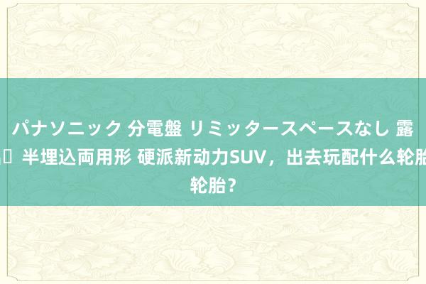 パナソニック 分電盤 リミッタースペースなし 露出・半埋込両用形 硬派新动力SUV，出去玩配什么轮胎？