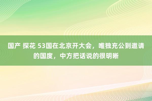 国产 探花 53国在北京开大会，唯独充公到邀请的国度，中方把话说的很明晰