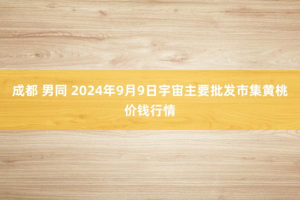 成都 男同 2024年9月9日宇宙主要批发市集黄桃价钱行情