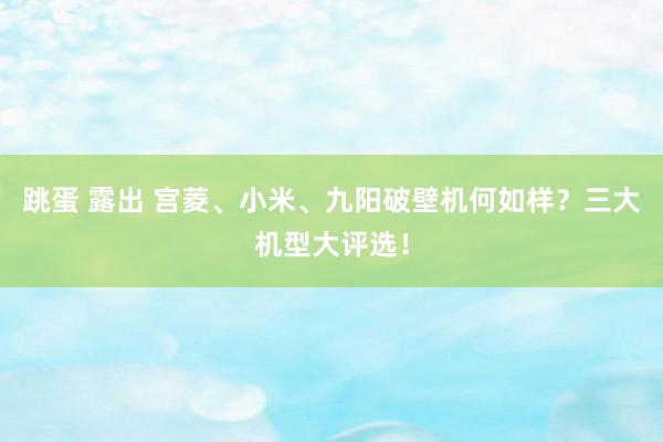 跳蛋 露出 宫菱、小米、九阳破壁机何如样？三大机型大评选！