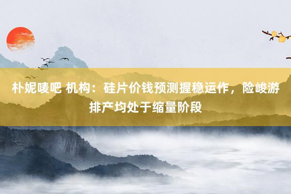 朴妮唛吧 机构：硅片价钱预测握稳运作，险峻游排产均处于缩量阶段