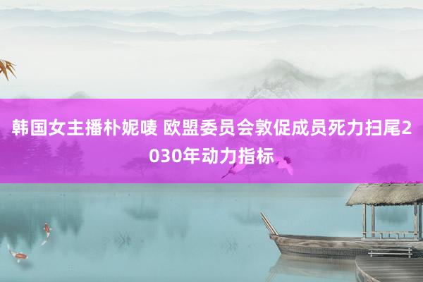 韩国女主播朴妮唛 欧盟委员会敦促成员死力扫尾2030年动力指标