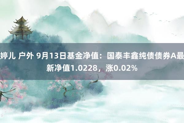 婷儿 户外 9月13日基金净值：国泰丰鑫纯债债券A最新净值1.0228，涨0.02%