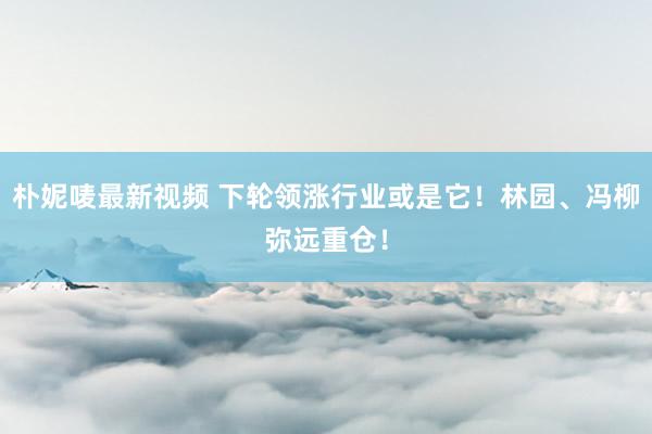 朴妮唛最新视频 下轮领涨行业或是它！林园、冯柳弥远重仓！