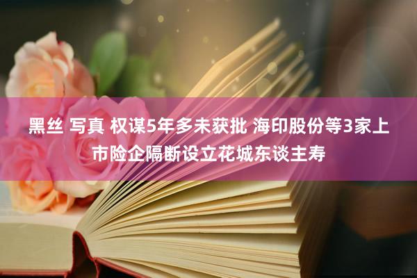 黑丝 写真 权谋5年多未获批 海印股份等3家上市险企隔断设立花城东谈主寿