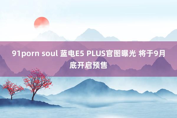 91porn soul 蓝电E5 PLUS官图曝光 将于9月底开启预售