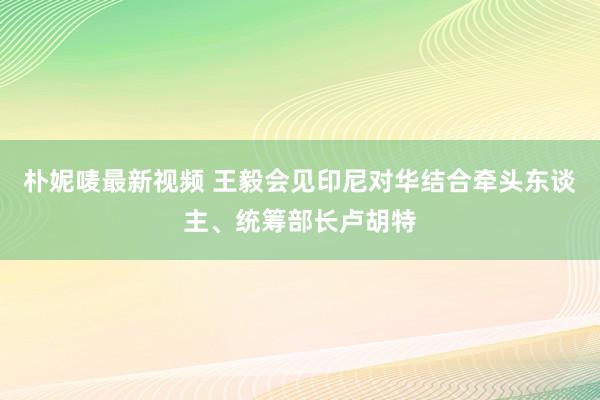 朴妮唛最新视频 王毅会见印尼对华结合牵头东谈主、统筹部长卢胡特