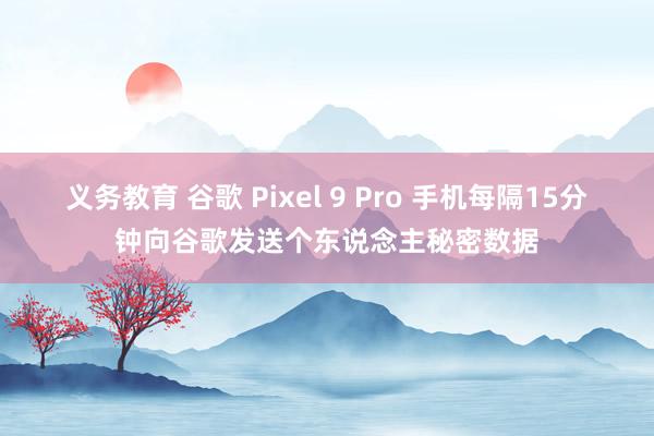 义务教育 谷歌 Pixel 9 Pro 手机每隔15分钟向谷歌发送个东说念主秘密数据