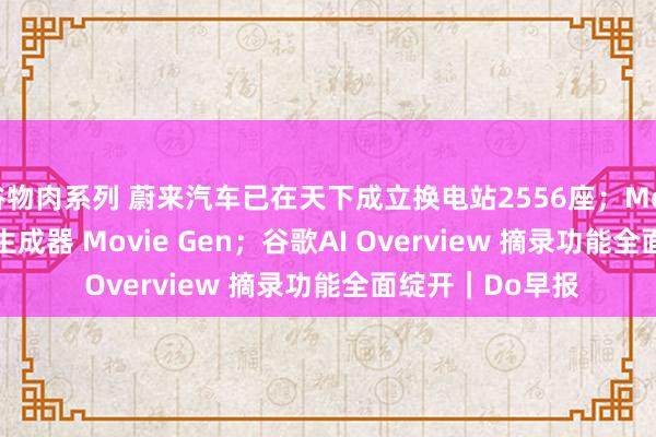 谷物肉系列 蔚来汽车已在天下成立换电站2556座；Meta 发布 AI 视频生成器 Movie Gen；谷歌AI Overview 摘录功能全面绽开｜Do早报