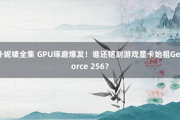 朴妮唛全集 GPU琢磨爆发！谁还铭刻游戏显卡始祖GeForce 256？