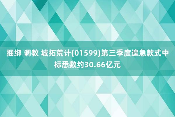 捆绑 调教 城拓荒计(01599)第三季度遑急款式中标悉数约30.66亿元