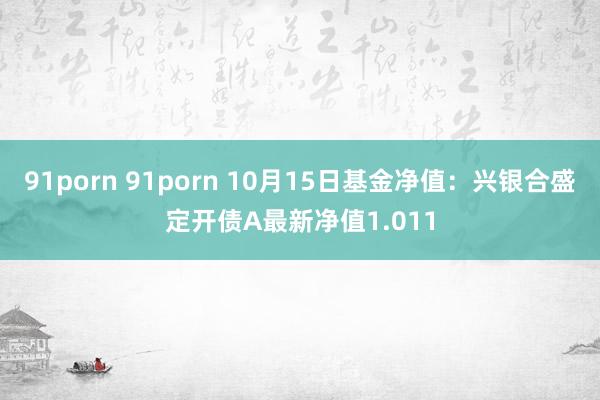 91porn 91porn 10月15日基金净值：兴银合盛定开债A最新净值1.011