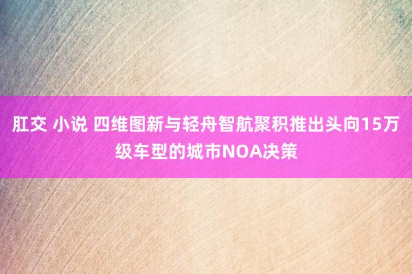 肛交 小说 四维图新与轻舟智航聚积推出头向15万级车型的城市NOA决策