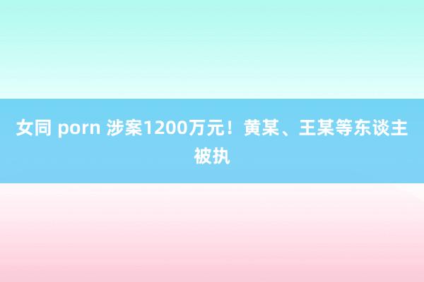 女同 porn 涉案1200万元！黄某、王某等东谈主被执