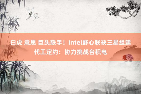 白虎 意思 巨头联手！Intel野心联袂三星组建代工定约：协力挑战台积电