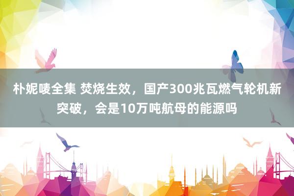 朴妮唛全集 焚烧生效，国产300兆瓦燃气轮机新突破，会是10万吨航母的能源吗