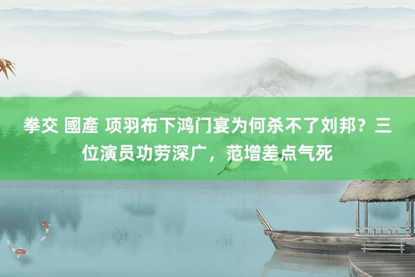 拳交 國產 项羽布下鸿门宴为何杀不了刘邦？三位演员功劳深广，范增差点气死