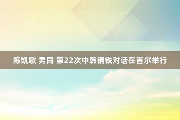 陈凯歌 男同 第22次中韩钢铁对话在首尔举行