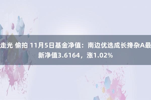 走光 偷拍 11月5日基金净值：南边优选成长搀杂A最新净值3.6164，涨1.02%