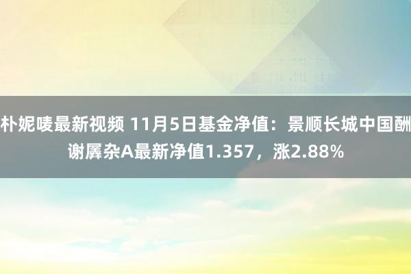 朴妮唛最新视频 11月5日基金净值：景顺长城中国酬谢羼杂A最新净值1.357，涨2.88%