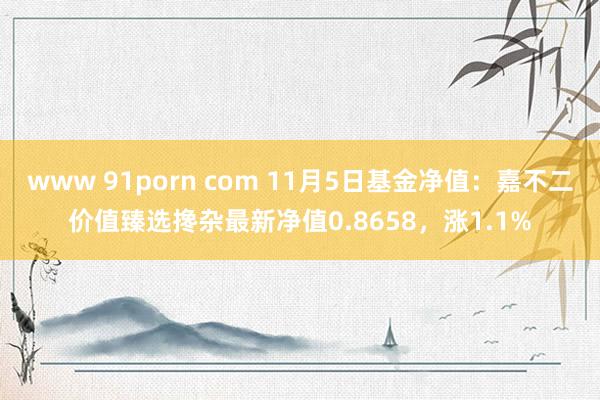 www 91porn com 11月5日基金净值：嘉不二价值臻选搀杂最新净值0.8658，涨1.1%