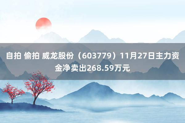 自拍 偷拍 威龙股份（603779）11月27日主力资金净卖出268.59万元