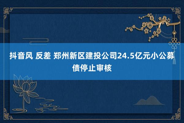 抖音风 反差 郑州新区建投公司24.5亿元小公募债停止审核