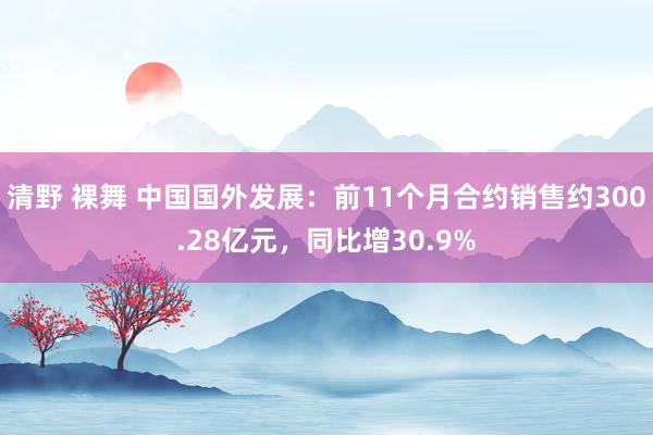 清野 裸舞 中国国外发展：前11个月合约销售约300.28亿元，同比增30.9%