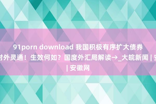 91porn download 我国积极有序扩大债券阛阓对外灵通！生效何如？国度外汇局解读→_大皖新闻 | 安徽网