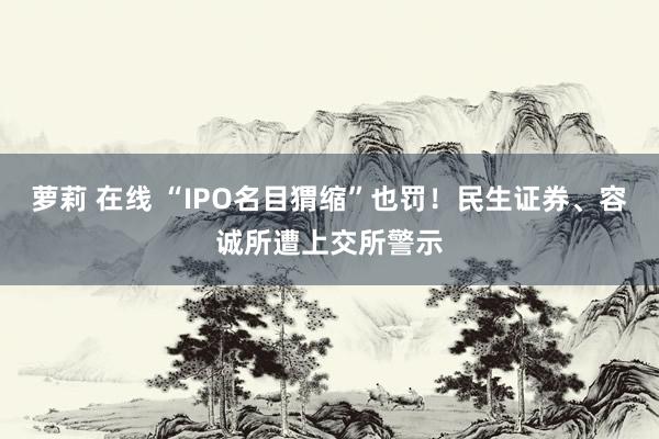 萝莉 在线 “IPO名目猬缩”也罚！民生证券、容诚所遭上交所警示