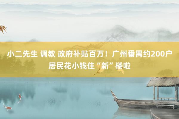 小二先生 调教 政府补贴百万！广州番禺约200户居民花小钱住“新”楼啦