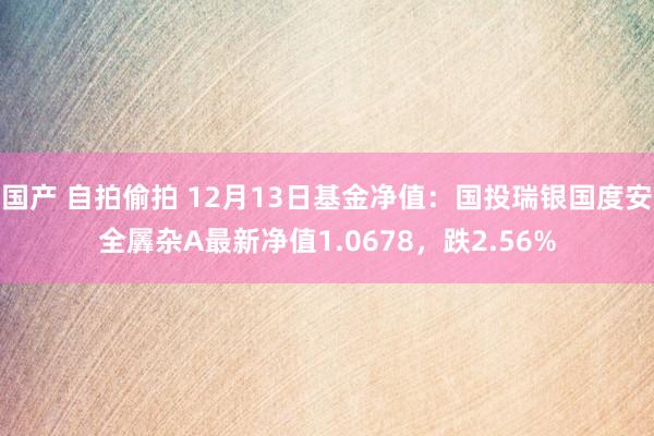 国产 自拍偷拍 12月13日基金净值：国投瑞银国度安全羼杂A最新净值1.0678，跌2.56%