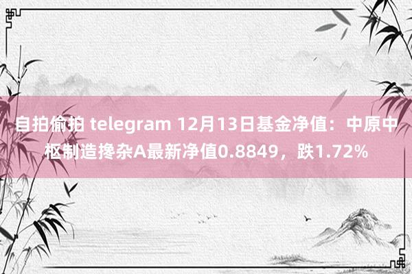 自拍偷拍 telegram 12月13日基金净值：中原中枢制造搀杂A最新净值0.8849，跌1.72%