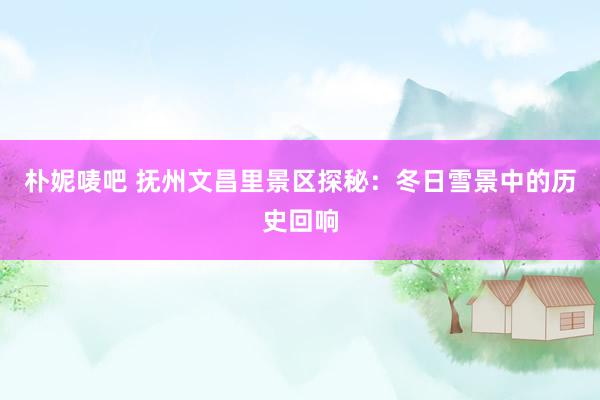 朴妮唛吧 抚州文昌里景区探秘：冬日雪景中的历史回响