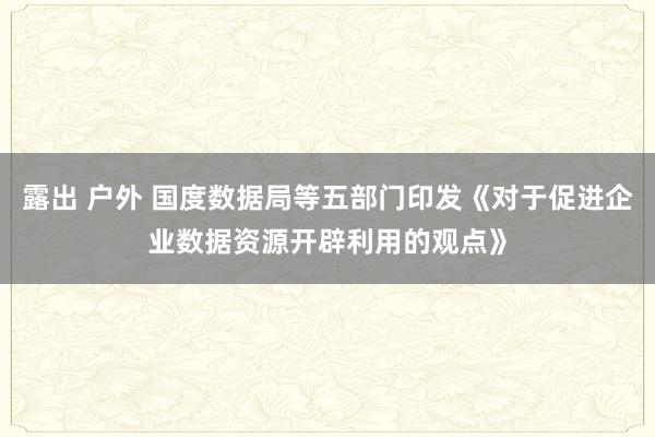 露出 户外 国度数据局等五部门印发《对于促进企业数据资源开辟利用的观点》