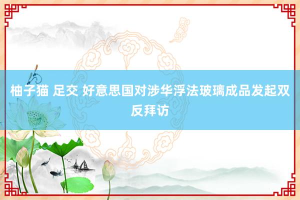 柚子猫 足交 好意思国对涉华浮法玻璃成品发起双反拜访