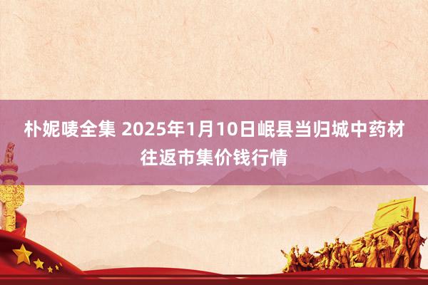 朴妮唛全集 2025年1月10日岷县当归城中药材往返市集价钱行情