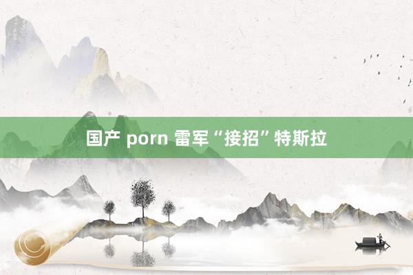 国产 porn 雷军“接招”特斯拉