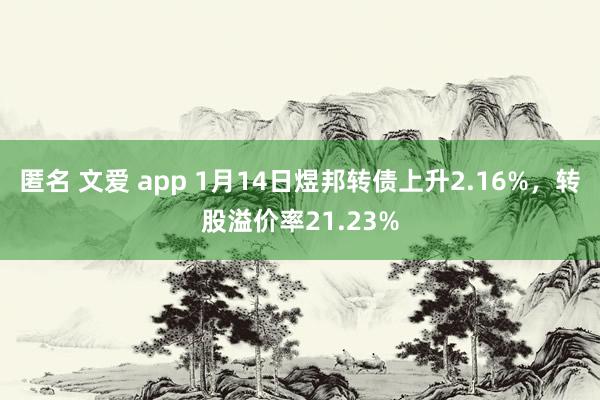 匿名 文爱 app 1月14日煜邦转债上升2.16%，转股溢价率21.23%