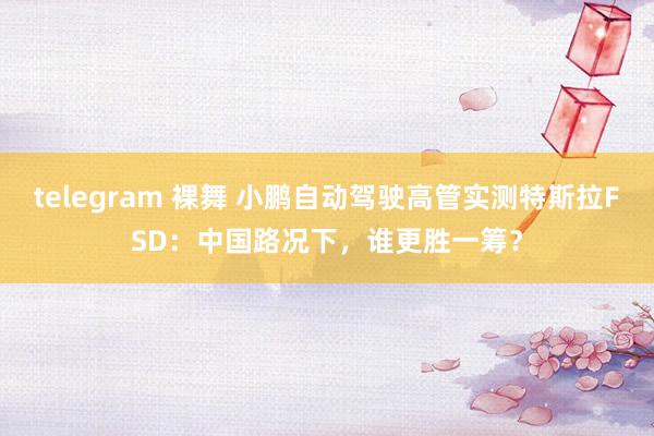 telegram 裸舞 小鹏自动驾驶高管实测特斯拉FSD：中国路况下，谁更胜一筹？