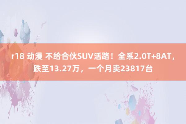 r18 动漫 不给合伙SUV活路！全系2.0T+8AT，跌至13.27万，一个月卖23817台